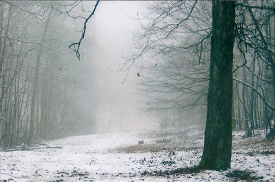1 The scene during Bill's funeral at the Woodspoint Cabin. Snow falling and the view to the Ohio River January 29, 2005.jpg